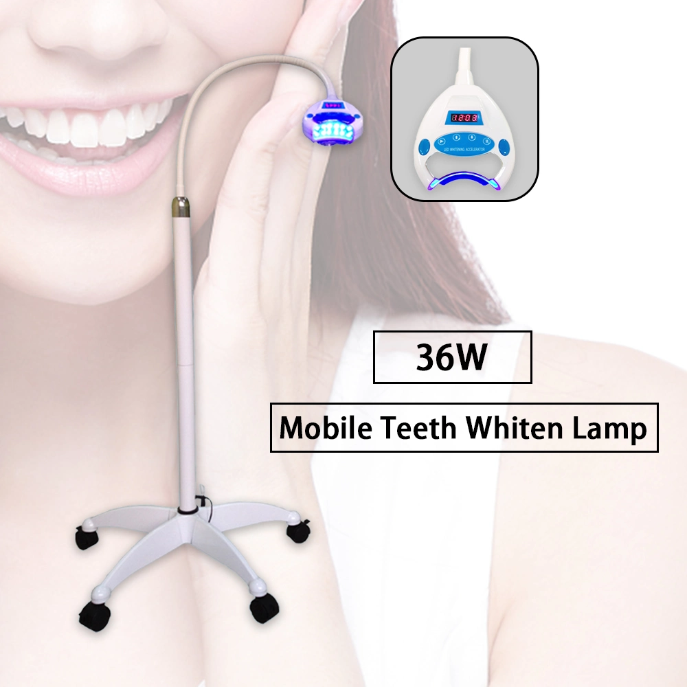 Lampe LED numérique dentaires Blanchiment des dents la lumière de la machine laser