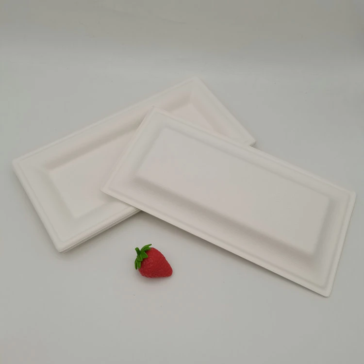 Bio Bagasse Rectangular Plate Party Dinnerware Food Container