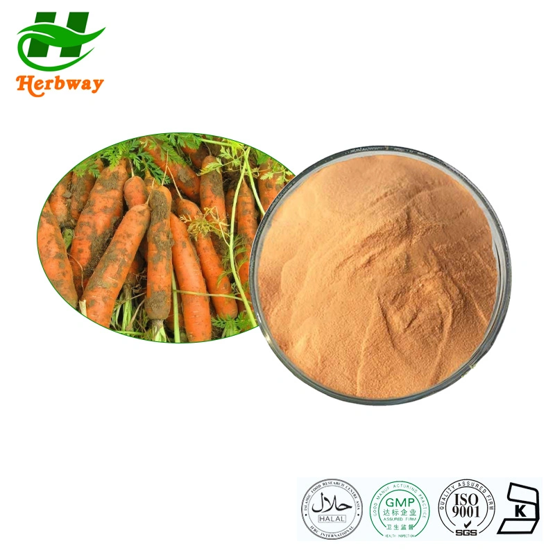 Herbway Kosher Halal Fssc HACCP Certified Carrot Powder Anthocyanin Extract Powder Water Soluble Carrot Juice Powder Carrot Juice Extract