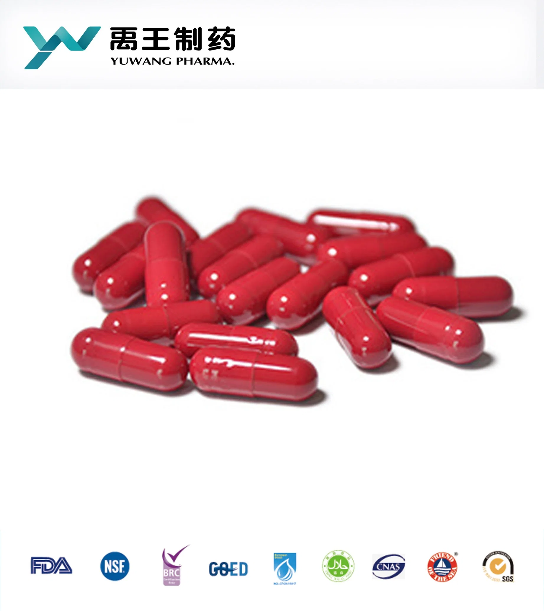 GMP Certified Vegerian Capsules OEM