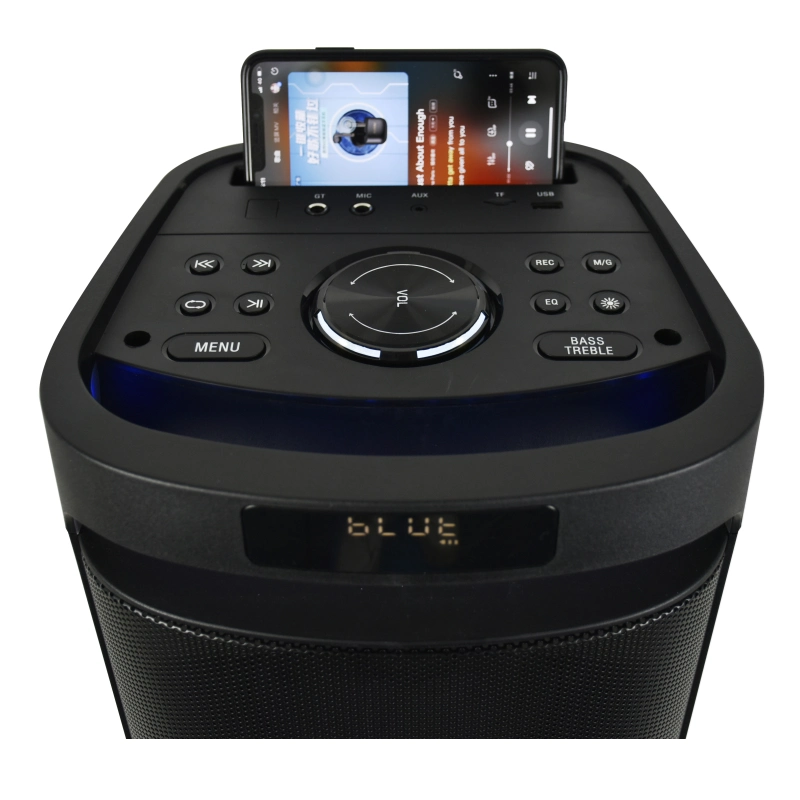 Feiyang Portable Trolley Dual 6.5 Inch Private Model Jb Bluetooth High End Tws Outdoor Audio Loud Speaker