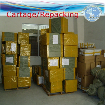 Door to Door Safe Sea Shipping Ocean Forwarder Freight From China to Argentina