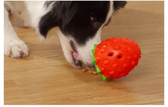 Alimentation pour animaux de compagnie chien chien Toytoothbrush mâcher jouet chien/accessoires pour animaux de compagnie