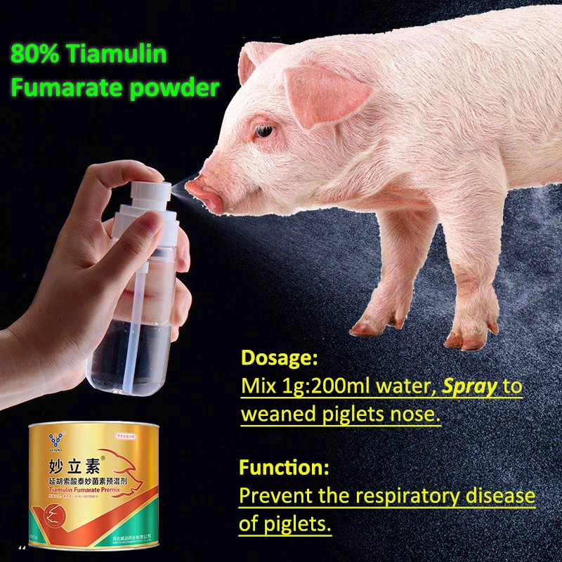 Good Animal Drug 80% Tiamulin Soluble Powder with GMP ISO