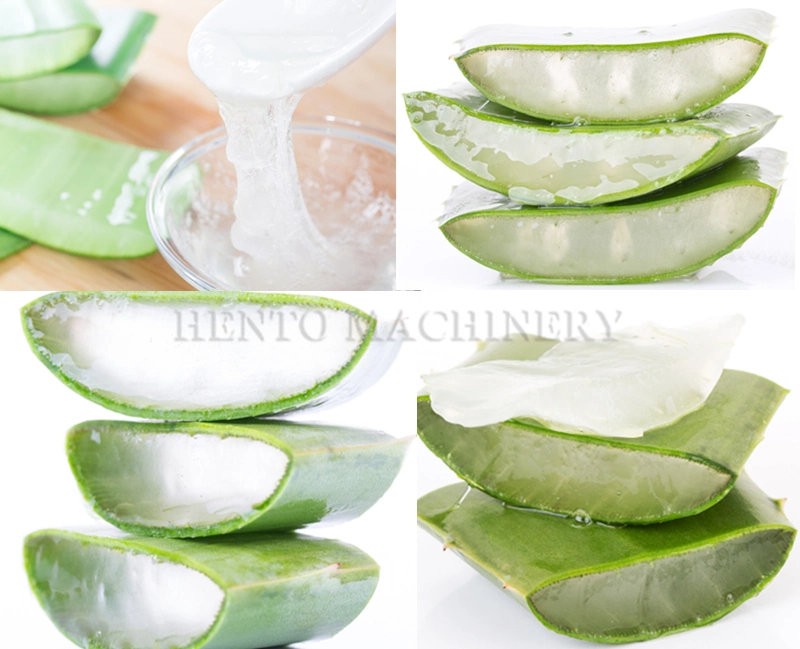 Industrial Electric Aloe Peeling Cutting Machine / Aloe Vera Dice Equipment / Aloe Vera Cubes Cutter