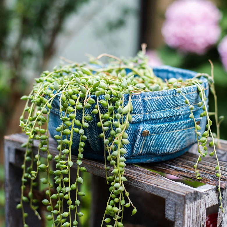 Decoração de jardim artesanais de fábrica de cimento de Bolso Jeans Dispositivo do potenciômetro de Flores Decoração de mesa criativa envasadas maravilhoso dom de Artesanato