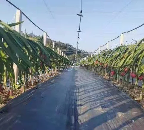 Barrera de tejido de PP para barrera de jardín de jardín de invernadero comercial Paisaje tejido Agricultura plástico