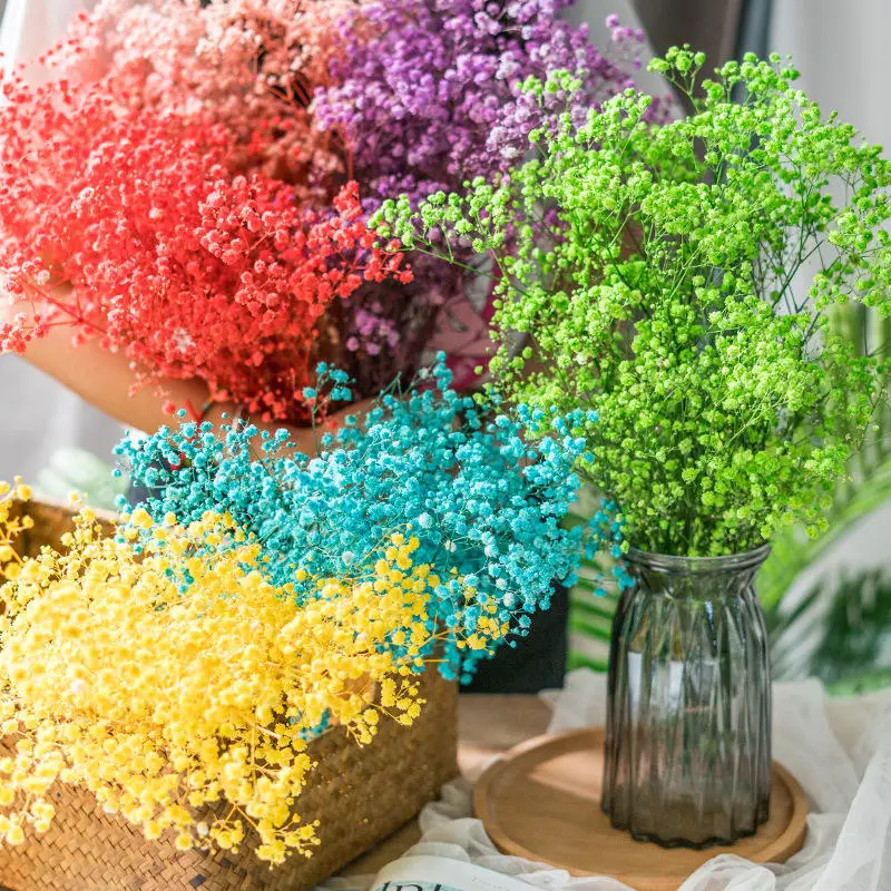 Flores naturais preservadas e secas Gypsophila Baby's Breath preservado bouquets Gift Para decoração de casa de casamento