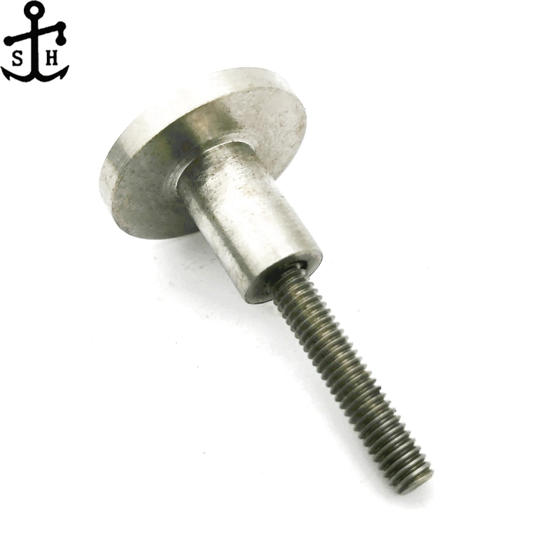 Stainless Steel Fasteners Non-Standard Ss 304 Screw Combination (Rivet and Stud Made in China