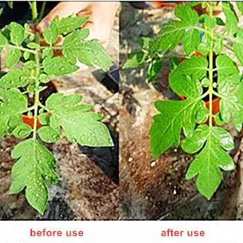 Excellent Spreading and Wetting Silicone Oil Surfactant Spray Adjuvant with Agrochemicals Promoting Performance of Pesticides