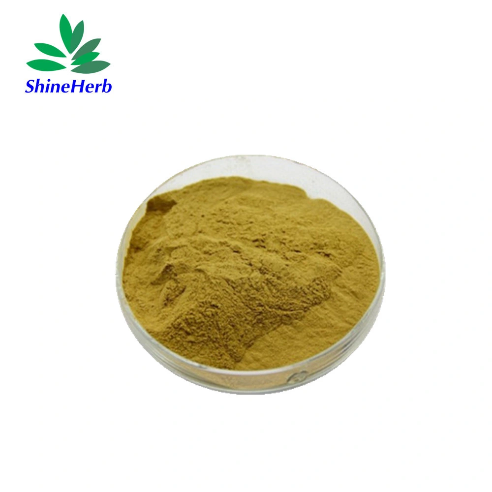 High Quality Natural Banana Leaf Extract / Loquat Leaf Extract Corosolic Acid