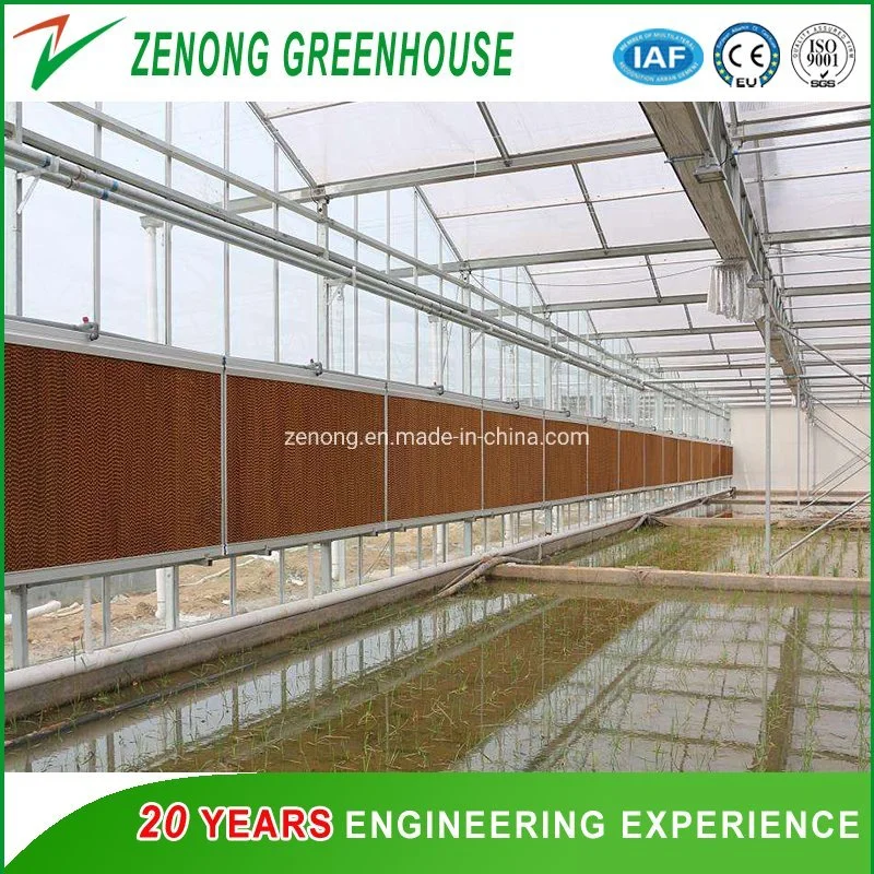 Water Cooling Pads/Evaporative Cooling Fan/Ventilation Fans/Exhausted Fan for Greenhouse/Livestock