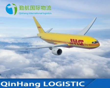 Agentes de carga de Shenzhen Express DHL UPS TNT Air Shipping Logistic Servicio de China a EE.UU. / Canadá