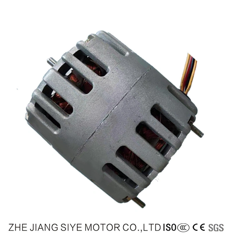 AC Single Phase Small Power Mini Motor