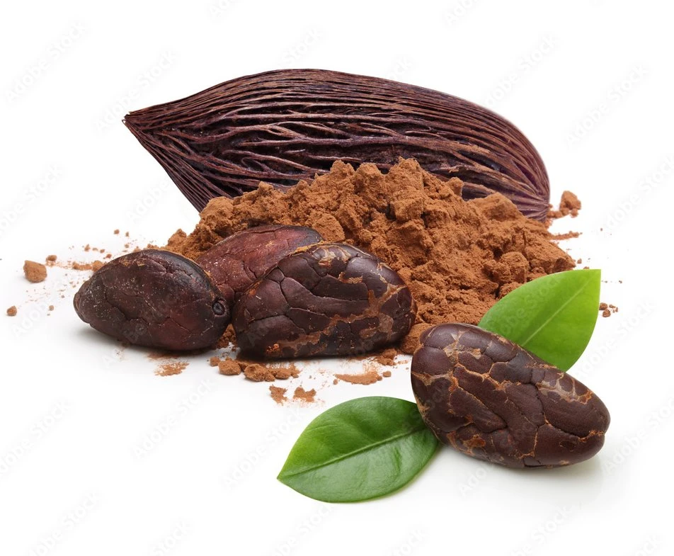 El cacao en polvo de cacao Alkalized Ingredientes 25 kg de torta de cacao en polvo de bebida natural