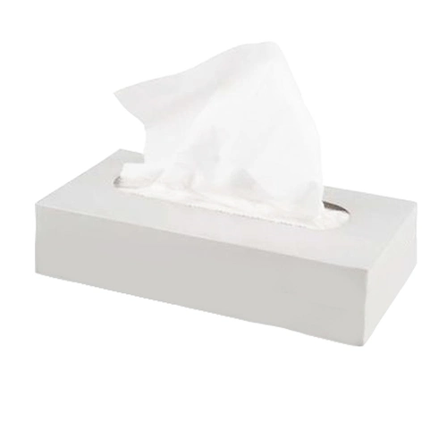 Top Quality 2ply White 100%Virgin Box Facial Tissue