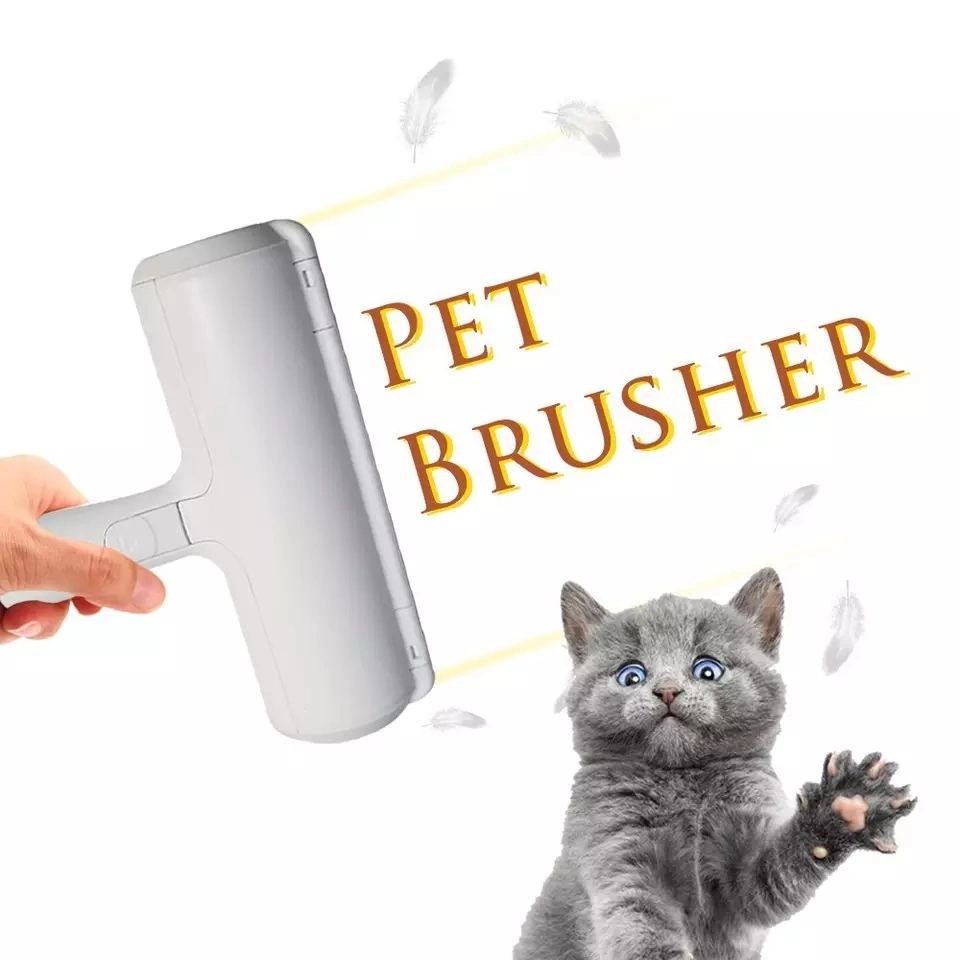 Boîte de couleurs brosse pour cheveux pour animaux de compagnie non pelucheux