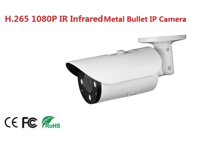 Fsan H. 265 2MP IR Infrared Night Vision HD Network Surveillance Bullet IP Camera