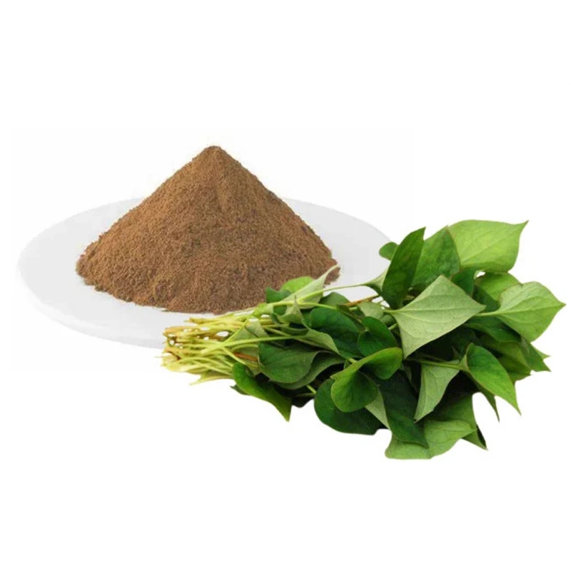 Hoja del corazón Extracto de Hituynia Herb para promover el estómago 1: 5 1: 10 1: 20 1: 50 utilizado en Alimentos nutricionales para la atención de la Salud