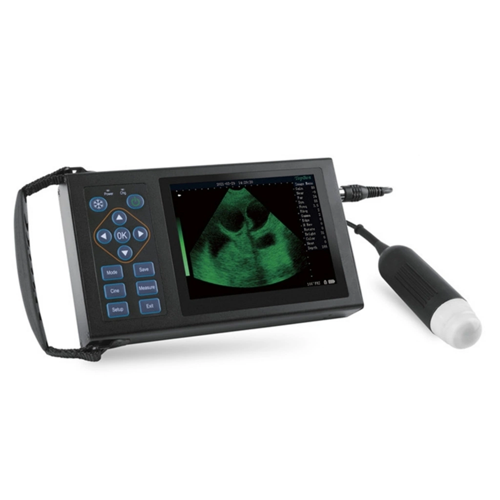 Ybm10-1 Handheld Veterinary Ultrasound Animal Laptop Ultrasound Scanner