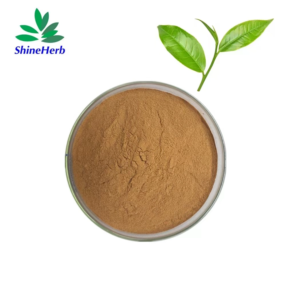 Fabricante chinês fornecer Natural Green Tea Extract polifenóis