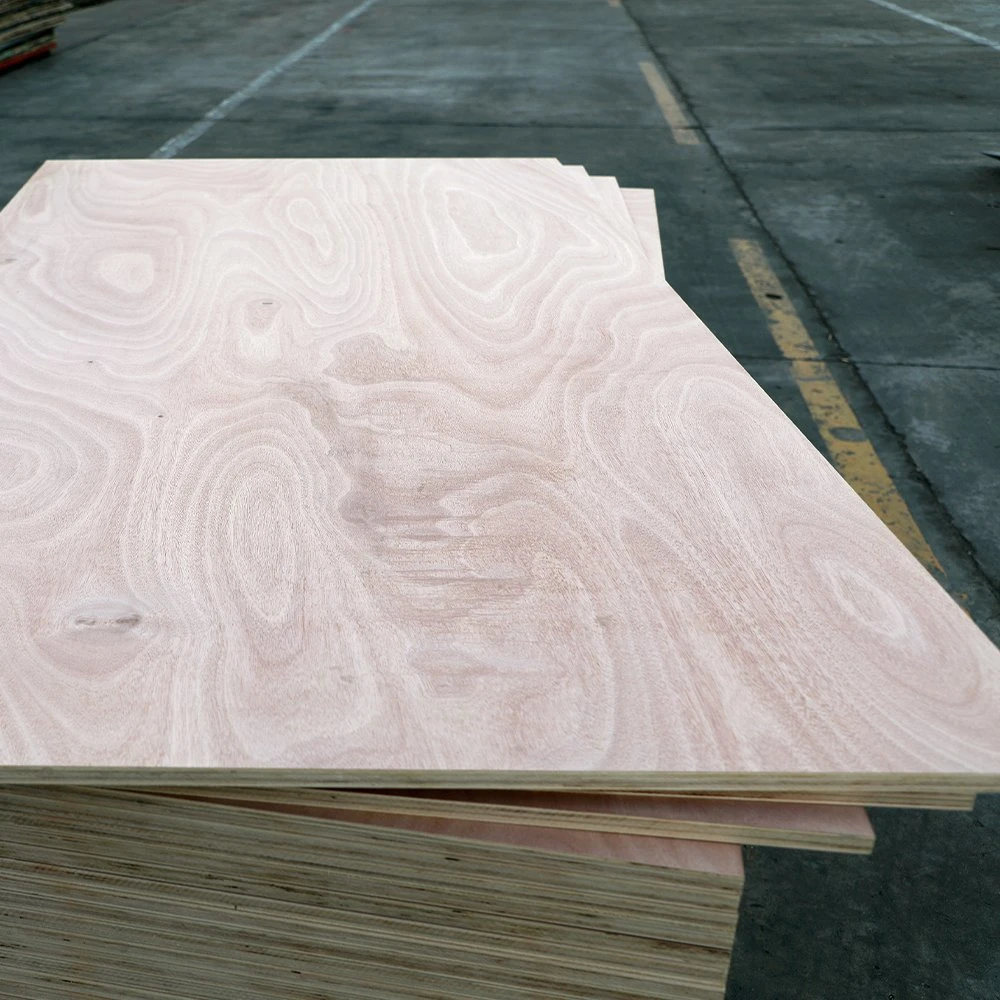 12 18mm Okoume/Bintangor/Pine/Birch/Poplar Furniture Plywood Manufacturing for Sale