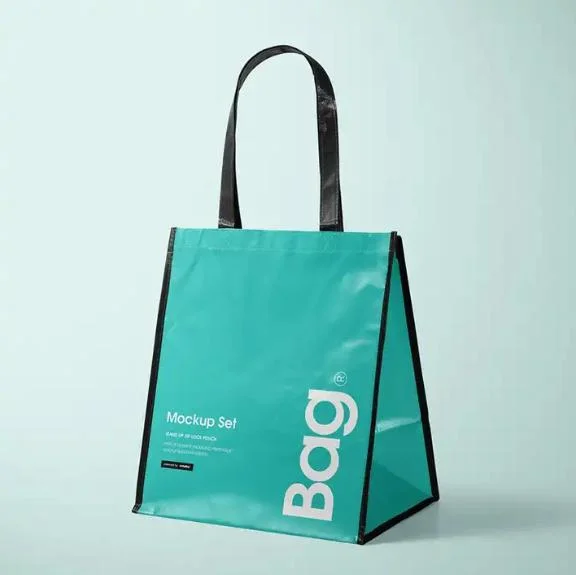 Unique Design Eco Cheap Price Printed Recyclable Shopping Bags Fold