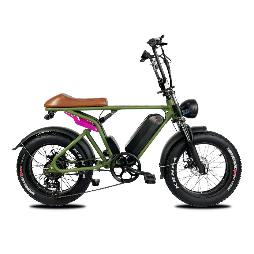 دراجة كهربائية ذات 7 سرعات بقياس 20 بوصة Kenda دراجة 14 أمبير من الغبار دراجة كهربائية