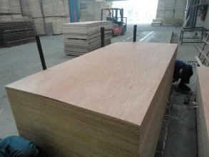 Good Quality Plb Veneer with Good Price