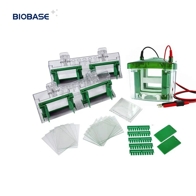 Electroforesis Vertical Biobase cn la prueba de PCR de depósito utilizar el ácido nucleico/proteínas electroforesis en caliente de Venta