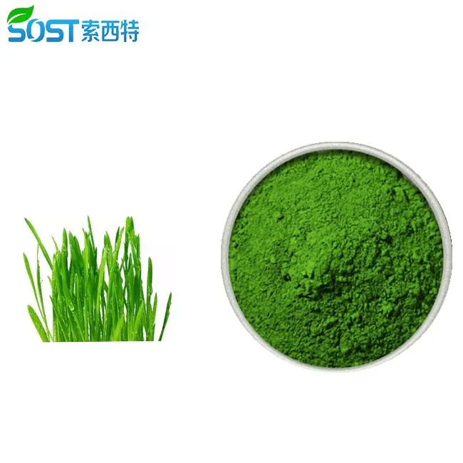 Natural Water Soluble Barley Grass Powder