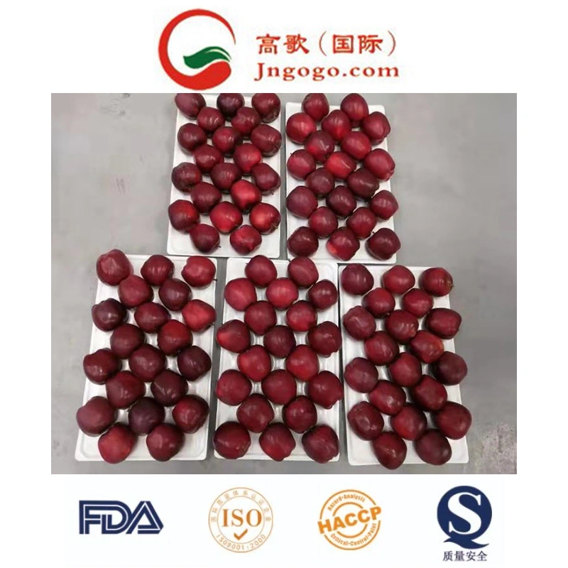 High quality/High cost performance  for Exporting Fresh Chinese FUJI Apple