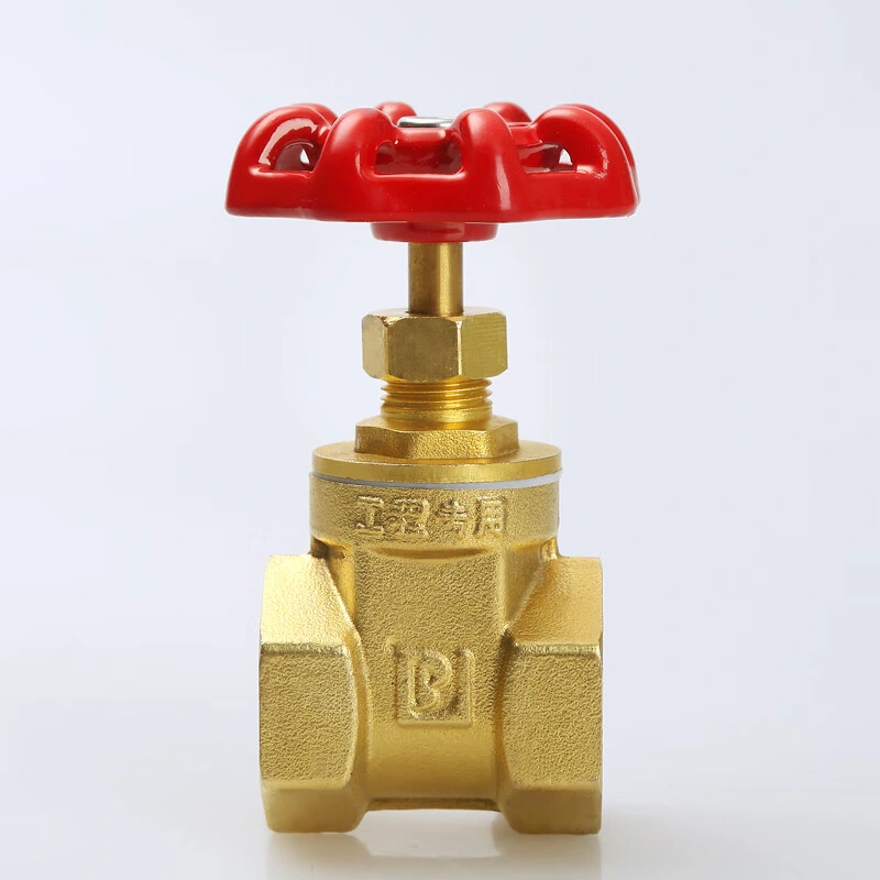 Sw/NPT Connection Wcb Globe Valve, by GOST/ANSI/DIN for Water/Gas/Oil