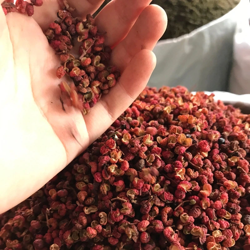 China Manufacture Top Quality Sichuan Dried Whole Red Pepper for Dishes