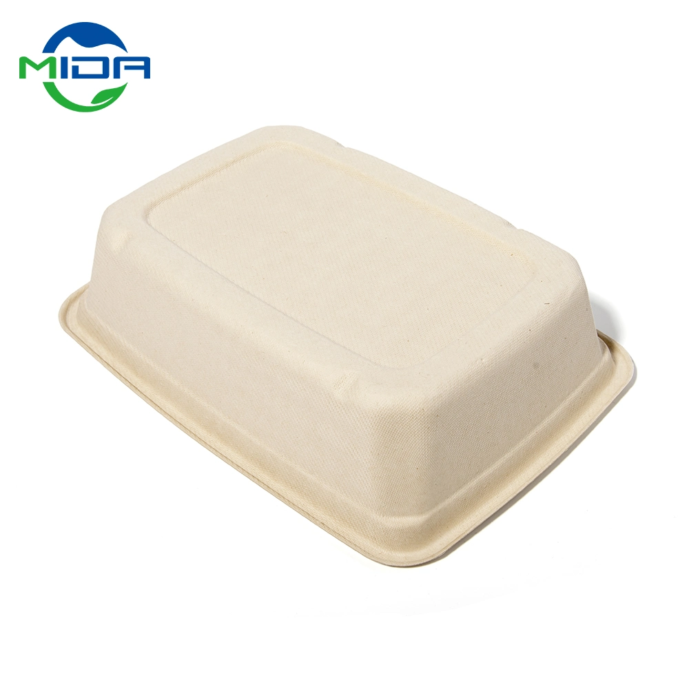 Sugarcane Bgasse Disposable Plates Eco Friendly Packaging Food Container Lunch Box