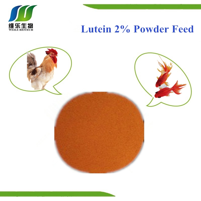 Made in China Feed Grade Lutein Herbal Extract 2% 10%