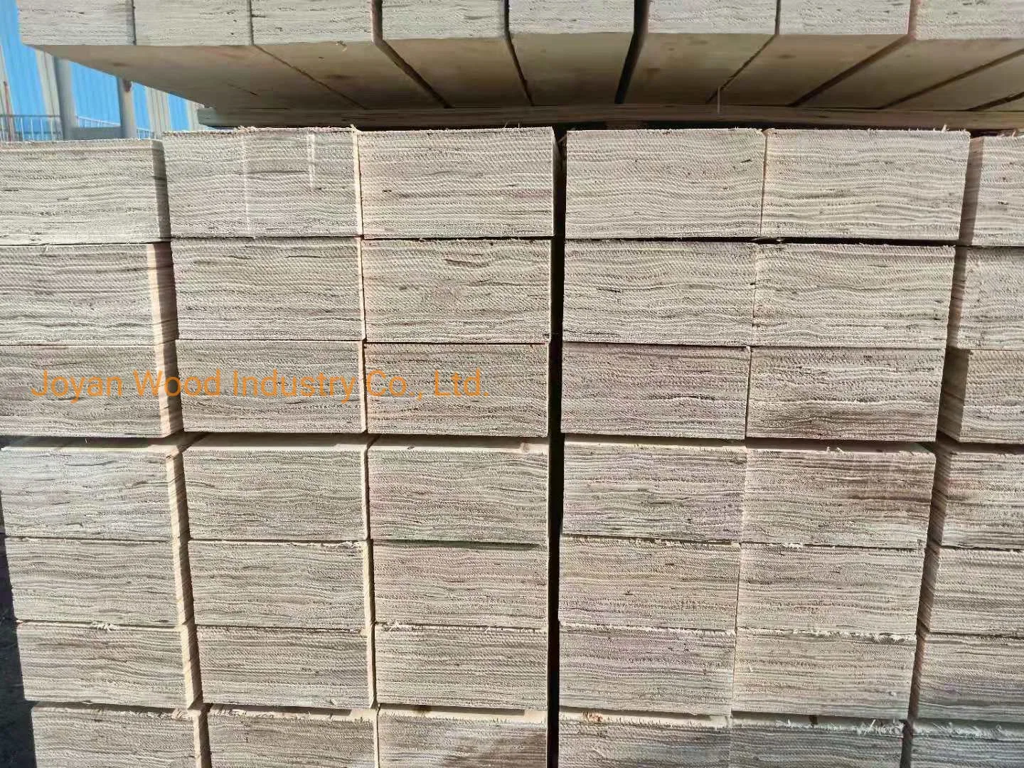 Barato preço LVL Poplar Material da porta de madeira