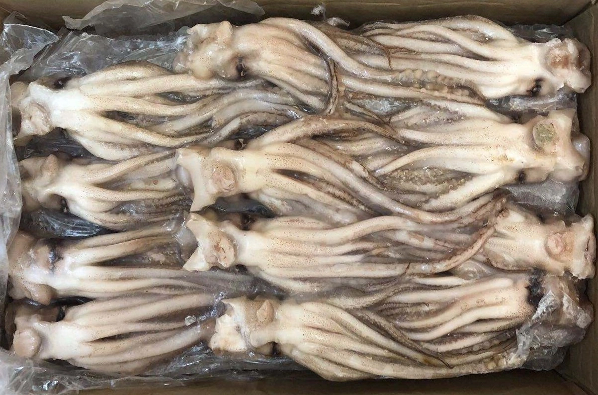 Frozen Squid Tentacle/Calamari/Calamar/Calmar/Pota