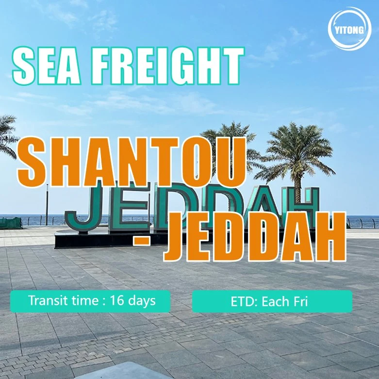 Seefracht Logistik von Shanghai nach Jeddah