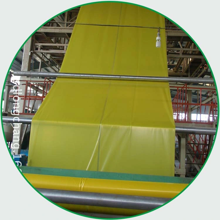 UV Treated 200 Micron Plastic Greenhouse Cover Reinforced Greenhouse Plastic Film with Competitive Price