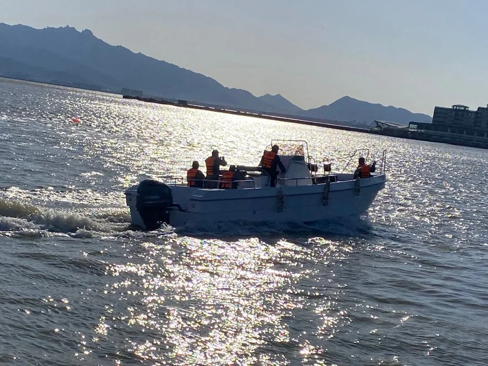 Aqualand 33 pies 10m 18 personas Fibra de vidrio Velocidad Rescate Patrulla / Taxi acuático de pasajeros / Barco de pesca deportiva y buceo con motor Panga (330c) con Certificado de Clase B CE.