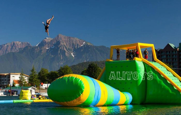 Hot Sale Adult Inflatable Water Park Playground Floating on Sea