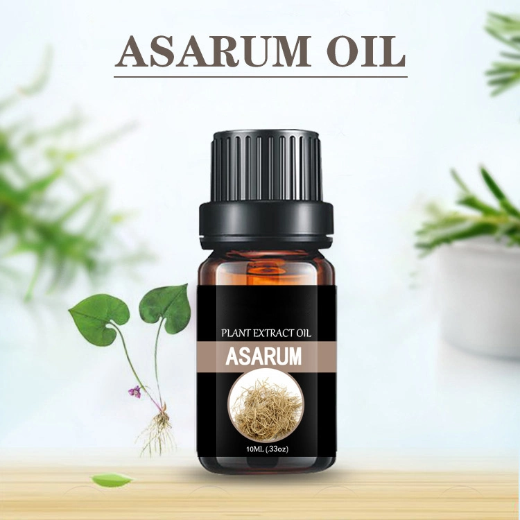 8016-69-1 Asarum Oil Global Exporter