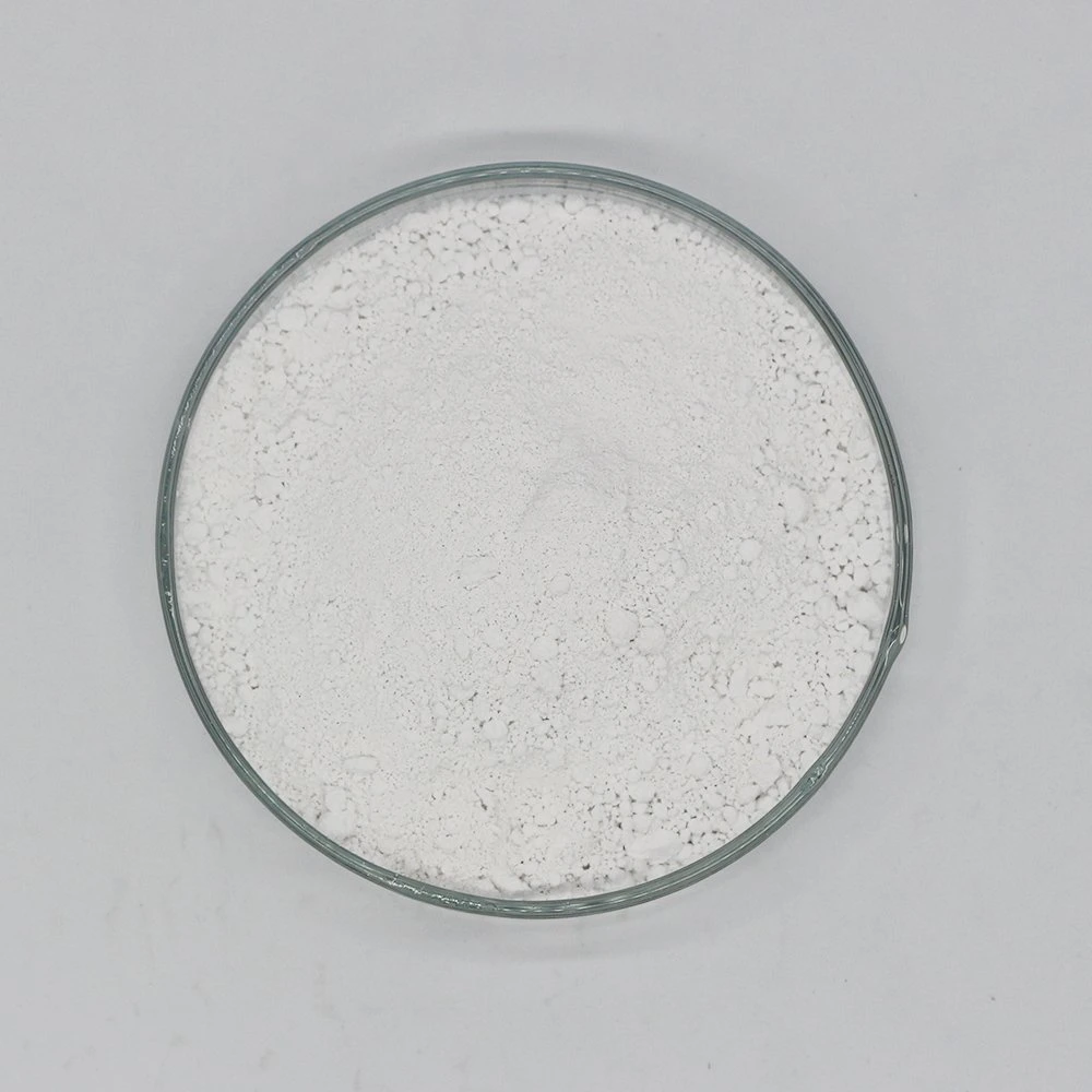 Titanium Dioxide Anatase B101 for Paint CAS 13463-67-7