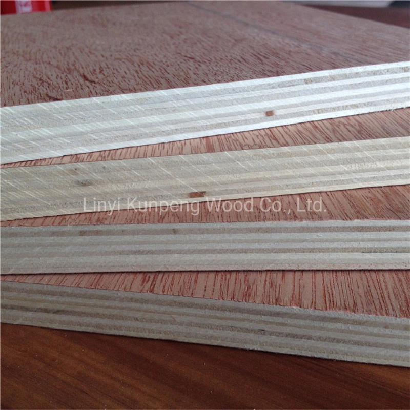 High quality/High cost performance  Commercial Plywood Bintangor/Okoume/Birch/Pine Faced Plywood