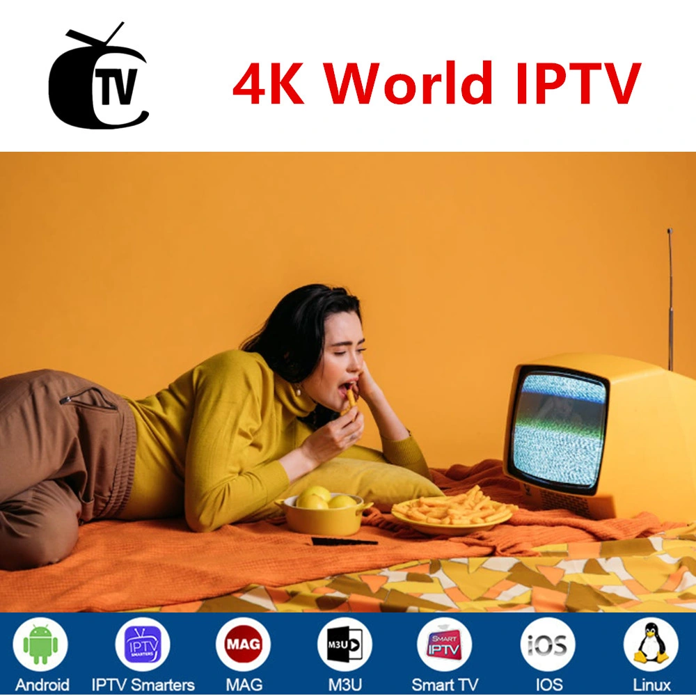 4K Código IPTV Europeo Suscripción de 1 años crédito para panel de distribuidores Estados Unidos Canadá Canal Latino Árabe Oriente Medio servidor