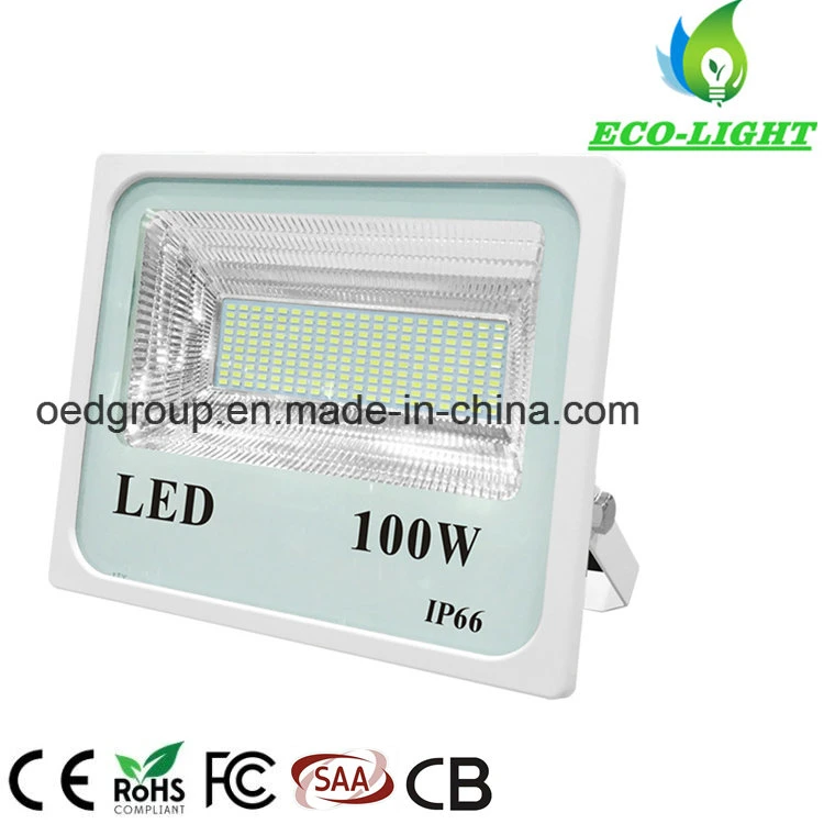 100W Outdoor Lighting High Power IP66 Professional Waterproof LED SMD Flood Light