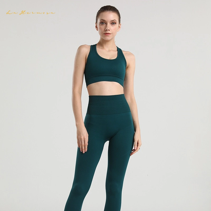Women Vest and Pants Fitness Yoga Clothing Breathable Sports Running Seamless Quick Drying Fashion Sports Suit Ywqf0450