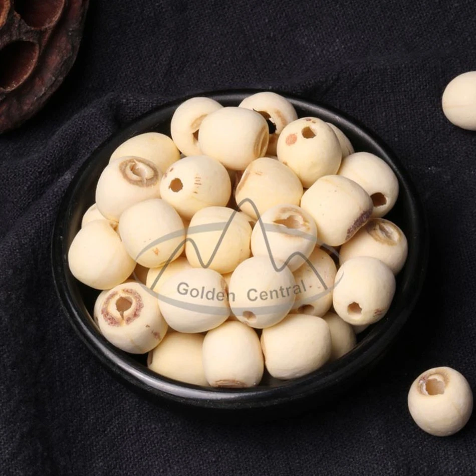 Sale Dried Lotus Seeds Natural Bai Lian Zi to Overseas