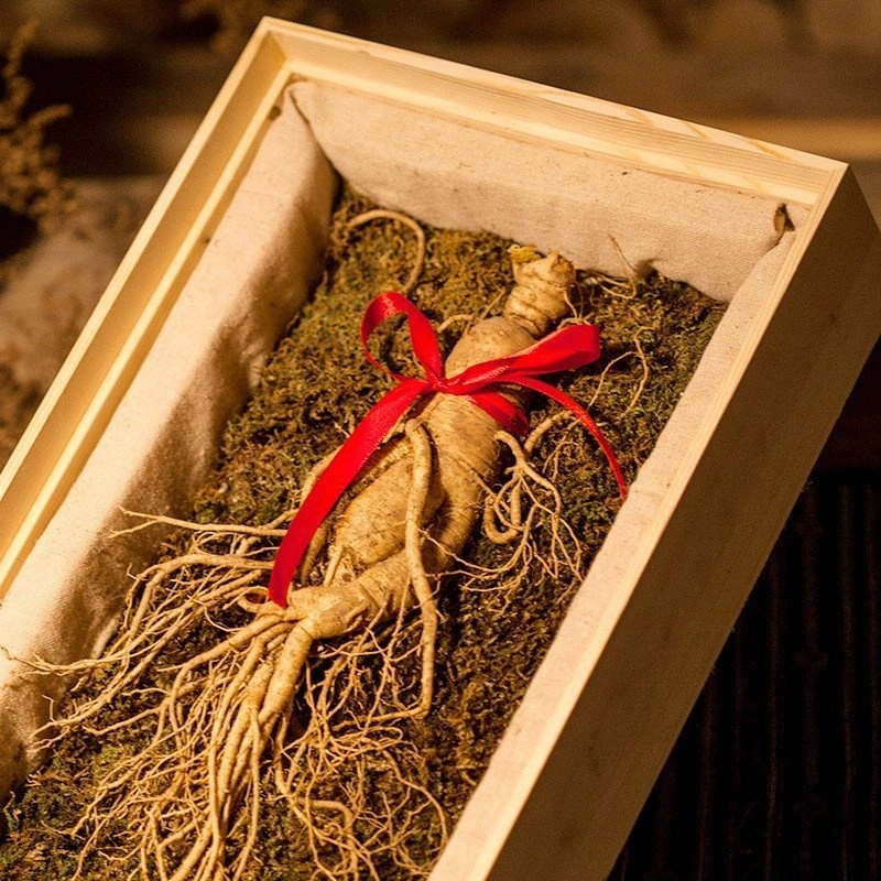 Hochwertige Masse Natürliche Masse Künstlich Kultiviert Ginseng Chinesisch Medicinal Materialien Frezon American Ginseng